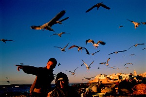 La ville d'Essaouira